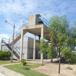 Estações de esgoto recebem plantio de eucalipto - (Fotos: Ascom/Deso)