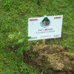 Semarh realiza Projeto Plantando Verde em Indiaroba -