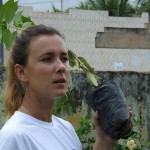Semarh realiza Projeto Plantando Verde em Indiaroba -
