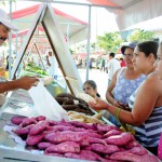 Governo inaugura Feira da Agricultura Familiar em Estância e Indiaroba  -  (Fotos: Edinah Mary  Ascom / Inclusão)