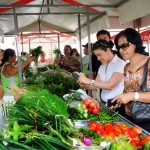 Governo inaugura Feira da Agricultura Familiar em Estância e Indiaroba  -  (Fotos: Edinah Mary  Ascom / Inclusão)