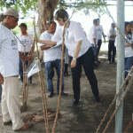 Técnicos participam de dia especial sobre a cultura da mandioca   - Fotos: Ascom/Emdagro