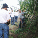 Técnicos participam de dia especial sobre a cultura da mandioca   - Fotos: Ascom/Emdagro