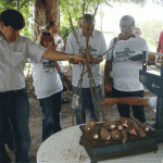 Técnicos participam de dia especial sobre a cultura da mandioca   - Fotos: Ascom/Emdagro