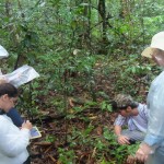 Unidade de Conservação do Governo recebe novos grupos de pesquisadores - Fotos: Ascom/Semarh