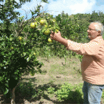 PAA gera renda a agricultores e combate à fome de comunidades carentes -