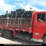 PAA gera renda a agricultores e combate à fome de comunidades carentes -