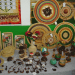 Emdagro realiza encontro sobre cultura do coco - Fotos: Ascom/Emdagro