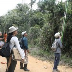 Guia Ilustrado mostra espécies encontradas no Refúgio de Vida Silvestre Mata do Junco - Fotos: Ascom/Semarh