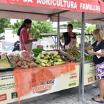 Servidores da Seed participam de mais uma Feira da Agricultura Familiar - Fotos: Eugênio Barreto/Seed