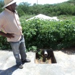 Agricultores familiares dão exemplo de plantio sustentável - Fotos: Ascom/Pronese