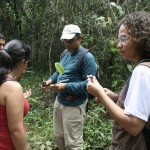 Guia Ilustrado mostra espécies encontradas no Refúgio de Vida Silvestre Mata do Junco - Fotos: Ascom/Semarh