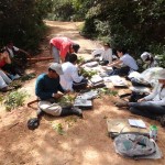 Guia Ilustrado mostra espécies encontradas no Refúgio de Vida Silvestre Mata do Junco - Fotos: Ascom/Semarh