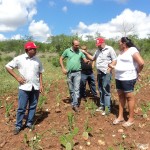 Agricultores familiares dão exemplo de plantio sustentável - Fotos: Ascom/Pronese