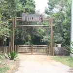 Guia Ilustrado mostra espécies encontradas no Refúgio de Vida Silvestre Mata do Junco - Fotos: Ascom/Semarh
