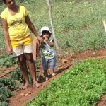 Agricultores familiares dão exemplo de plantio sustentável - Fotos: Ascom/Pronese