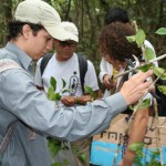 Guia Ilustrado mostra espécies encontradas no Refúgio de Vida Silvestre Mata do Junco - Fotos: Ascom/Semarh