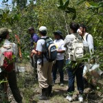 Guia Ilustrado mostra espécies encontradas no Refúgio de Vida Silvestre Mata do Junco - Fotos: Ascom/Semarh
