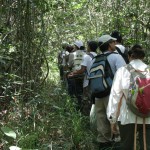Guia Ilustrado mostra espécies encontradas no Refúgio de Vida Silvestre Mata do Junco - Fotos: Ascom/Semarh