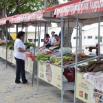 Servidores da Seed participam de mais uma Feira da Agricultura Familiar - Fotos: Eugênio Barreto/Seed
