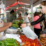 Educação comemora o Dia dos Pais com a Feira da Agricultura Familiar e Digestivo Cultural - Ana Lúcia Muffareg Silva é servidora da Seed e trabalha com artesanato