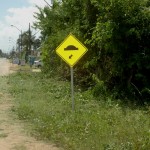 Governo de Sergipe realiza capinação na rodovia dos Náufragos -