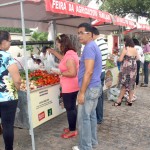 Educação comemora o Dia dos Pais com a Feira da Agricultura Familiar e Digestivo Cultural - Ana Lúcia Muffareg Silva é servidora da Seed e trabalha com artesanato