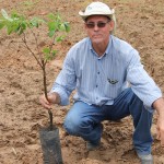 Lagarto planta as primeiras mudas de caqui no Estado - A gerente de desenvolvimento agropecuário da Cohidro