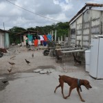 Governo dá sequência ao Diagnóstico Social com famílias do Pró Moradia em Socorro - Fotos: Eduardo Almeida