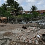 Governo dá sequência ao Diagnóstico Social com famílias do Pró Moradia em Socorro - Fotos: Eduardo Almeida