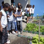 Horta transforma o ambiente da Escola Estadual Judite Oliveira - Foto: Eugênio Barreto/Seed