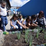 Horta transforma o ambiente da Escola Estadual Judite Oliveira - Foto: Eugênio Barreto/Seed