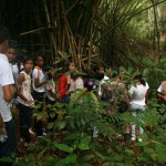 Governo promove trilha ecológica no refúgio Mata do Junco -