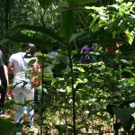 Governo promove trilha ecológica no refúgio Mata do Junco -