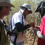 Unidade de Conservação da Semarh sedia VI Curso de Campo em Ecologia da Caatinga - Fotos: Ascom/ Semarh