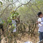 Unidade de Conservação da Semarh sedia VI Curso de Campo em Ecologia da Caatinga - Fotos: Ascom/ Semarh