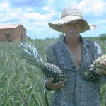 Ações do Governo evidenciam: milhares de agricultores tiveram acesso à terra - Fotos: Ascom/Seagri