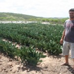 Ações do Governo evidenciam: milhares de agricultores tiveram acesso à terra - Fotos: Ascom/Seagri