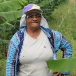Governo do Estado viabiliza R$ 460 mil em linhas de crédito para agricultores - O agricultor Silvio Mendonça de Jesus/ Foto: Ascom/ Cohidro