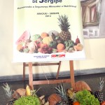 Uso de alimentos saudáveis na alimentação escolar é tema de seminário -