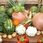Uso de alimentos saudáveis na alimentação escolar é tema de seminário -