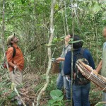 Unidade de conservação da Semarh é objeto de estudo de pesquisadores da UFPE  - Fotos: Ascom/Semarh