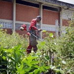 Governo retoma reforma e ampliação da Escola Estadual 11 de Agosto  -