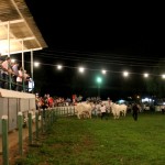 Cohidro é destaque na abertura da 50ª Exposição de Lagarto - Fotos: Ascom/Cohidro