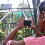 Atividades culturais movimentaram o 'Dia de Todos as Crianças' -