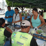 Emdagro e produtores revitalizam feira da agricultura orgânica em Itabaiana    - Fotos: Ascom / Emdagro