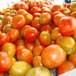 Emdagro e produtores revitalizam feira da agricultura orgânica em Itabaiana    - Fotos: Ascom / Emdagro