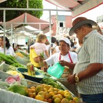Inauguração da Feira da Agricultura em Tomar do Geru é sucesso de público  - Fotos: Edinah Mary/Inclusão