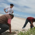 Pesquisadores pernambucanos realizam estudos sobre fungos no litoral sergipano - Fotos: Valéria Lima/Semarh