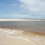 Pesquisadores pernambucanos realizam estudos sobre fungos no litoral sergipano - Fotos: Valéria Lima/Semarh